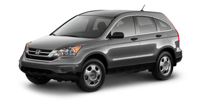 Popular 2010 Car